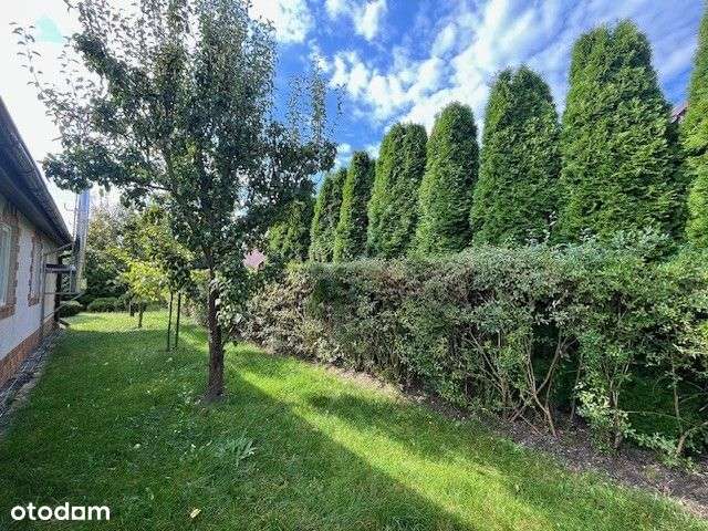 Parterowy dom nad jeziorem Woświn-16