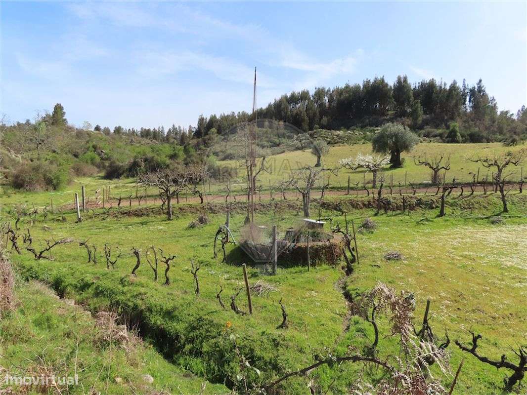 Quinta  para venda - Grande imagem: 5/50