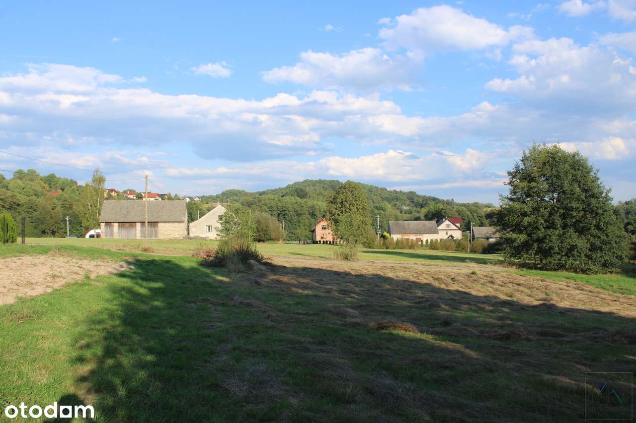 Dobranowice - działka budowlano-leśna o powierzchni 36 arów. - Pełny obrazek: 4/9