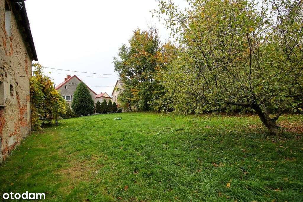 Budynek z obszerną działką z potencjałem-5