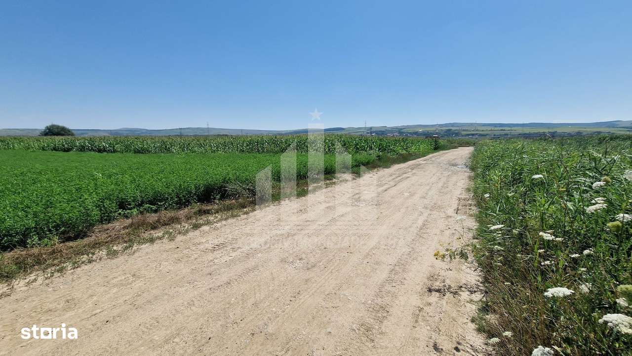 20 de parcele pentru constructii langa soseaua de centura - Imagine principală: 4/5