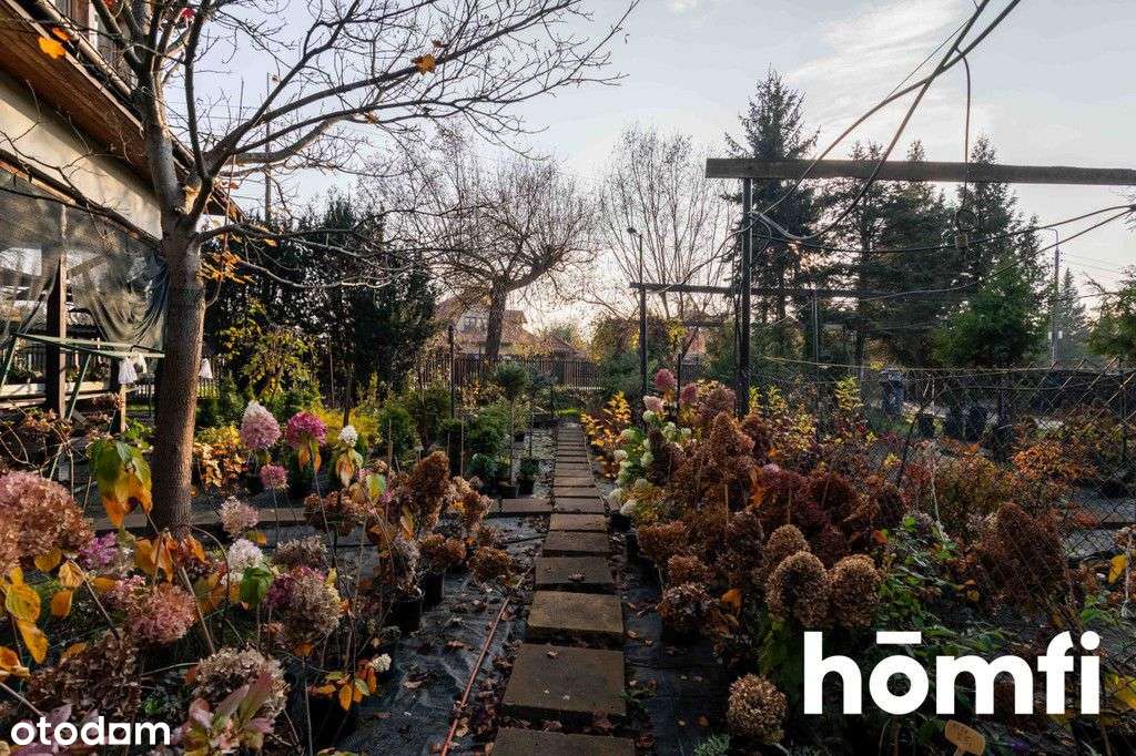 Działka 792m2 z drewnianym domem nad Zegrzem - Pełny obrazek: 5/18