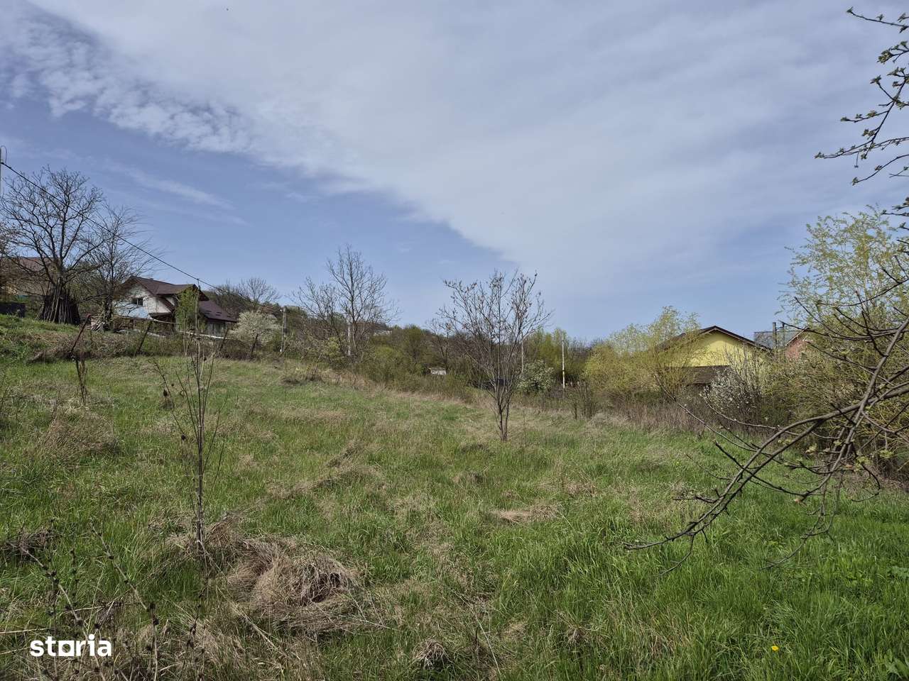 Teren intravilan, 5000 mp, 35 euro/mp, Vladiceni - Imagine principală: 4/5