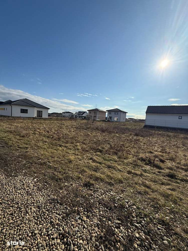 Teren intravilan de vânzare – Păulești | 734 mp | Zonă nou dezvoltată-1