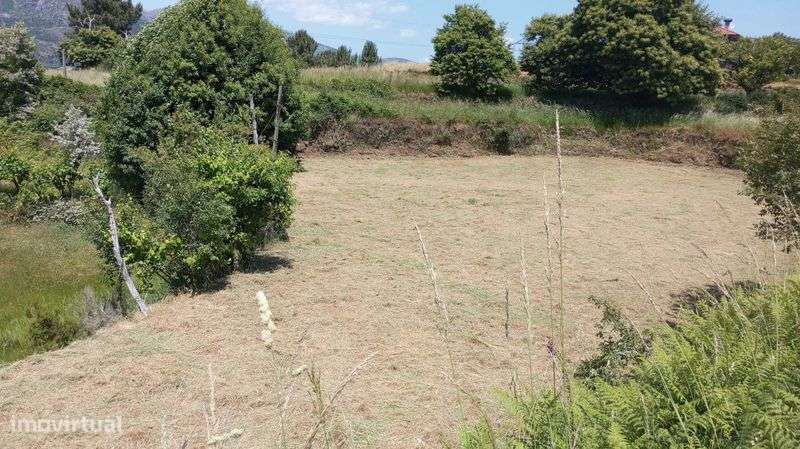 Terreno para venda em Salamonde, Vieira do Minho - Grande imagem: 5/6