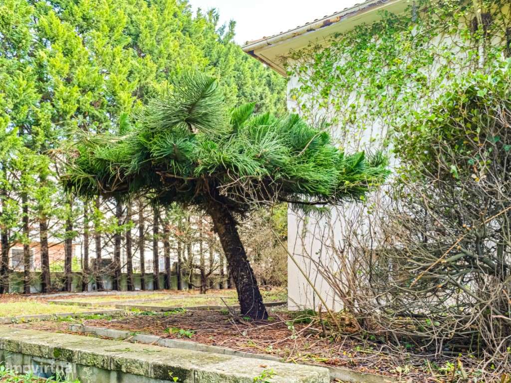 Quinta | Viabilidade construtiva de moradias | Vista Mar | Aguda , ... - Grande imagem: 5/17