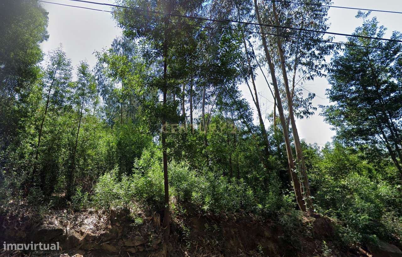 oportunidade para investidores - Grande imagem: 3/7