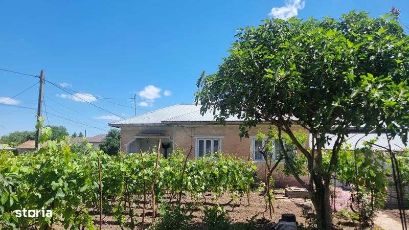 Casa de vanzare Chirnogi - (Oltenita) - Imagine principală: 5/7