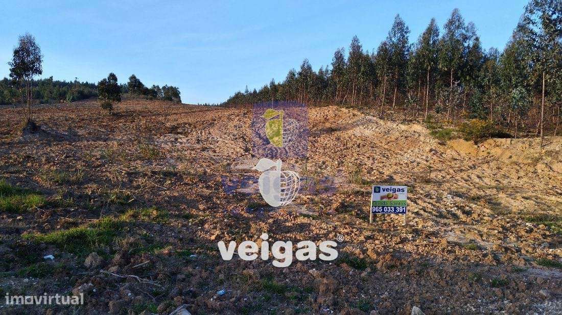 Terreno na zona Industrial das Gaeiras! - Grande imagem: 5/8