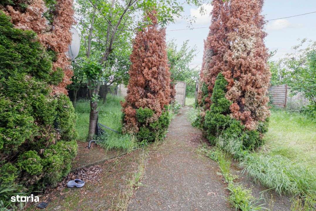 Teren de vanzare*Gradistea - Imagine principală: 3/15