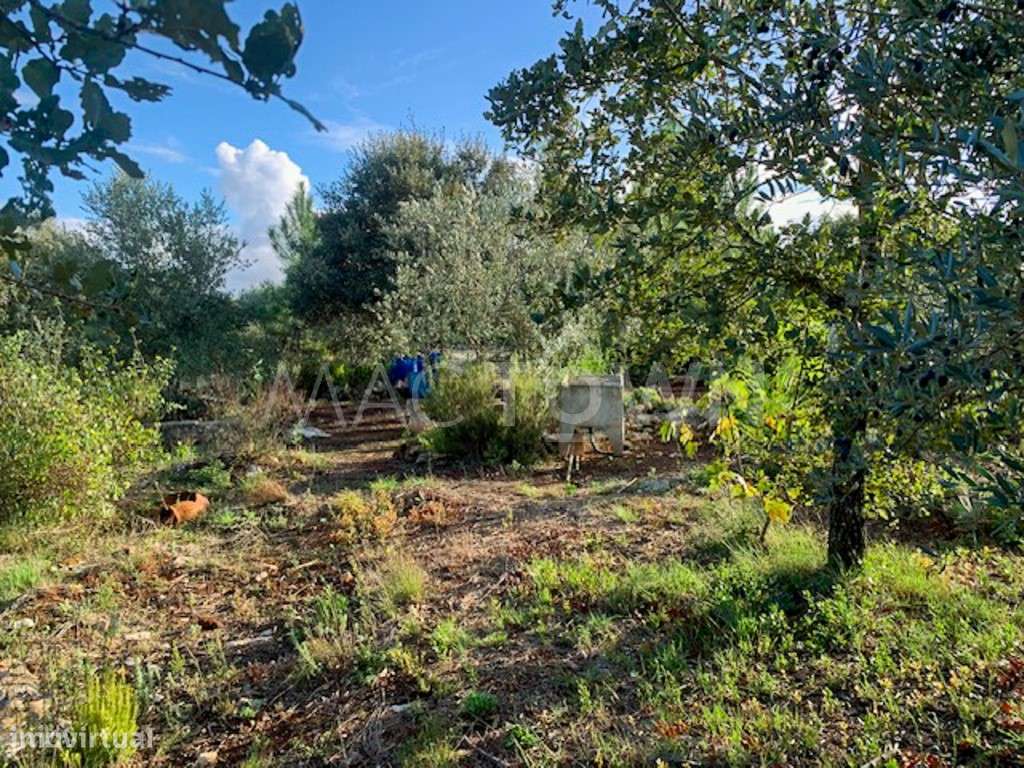 Refúgio Natural - Terreno - Grande imagem: 5/25