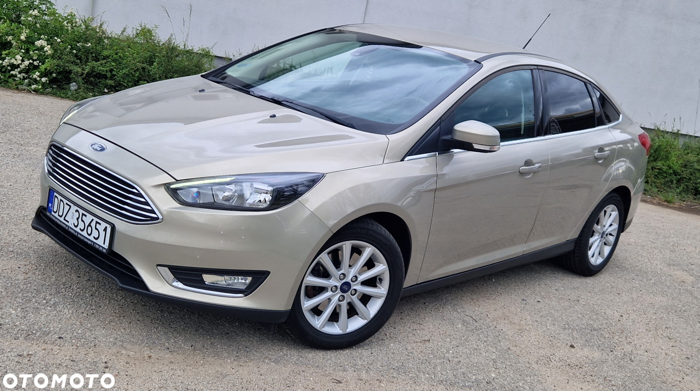 Ford Focus - 3