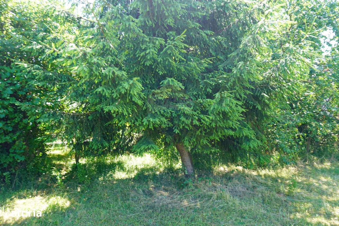 Casă / Vilă cu 2 camere de vânzare - Imagine principală: 4/6