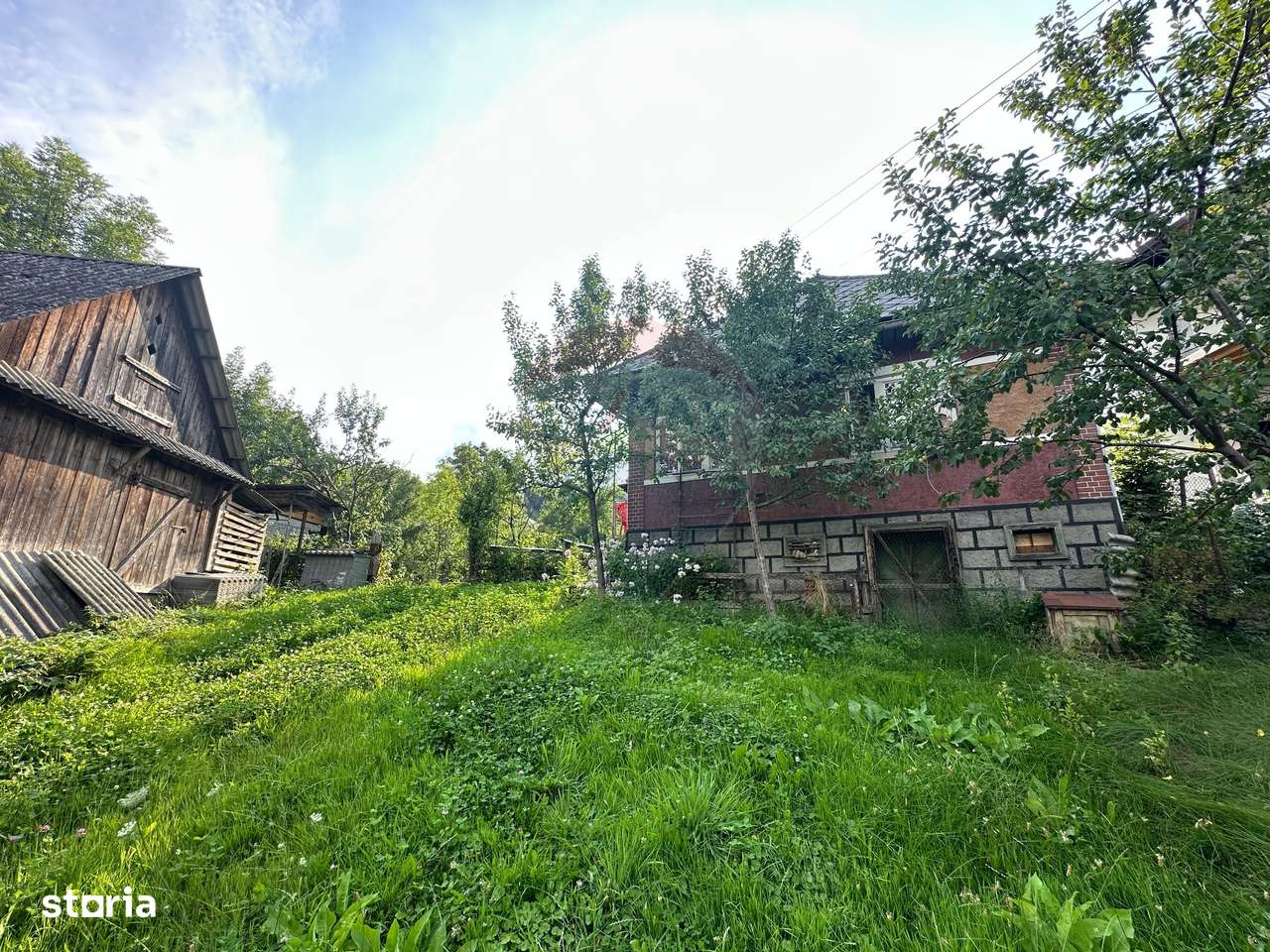 De vanzare GOSPODARIE in BUDESTI/ Maramures - Imagine principală: 4/9