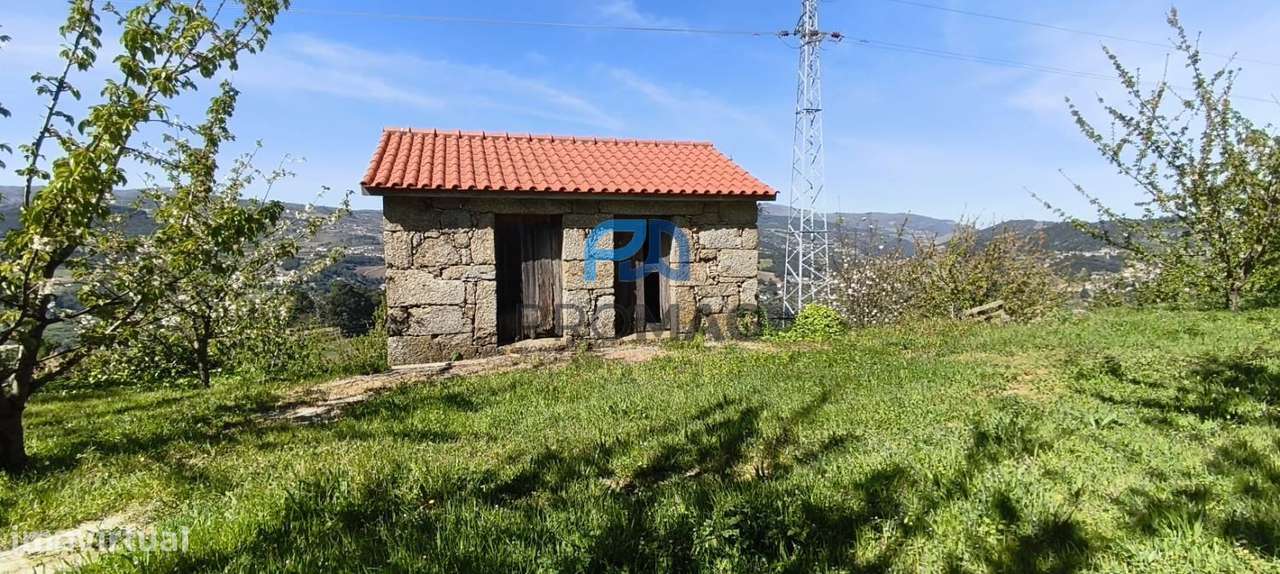 Quinta do Valado- Excelente Investimento em Resende-21