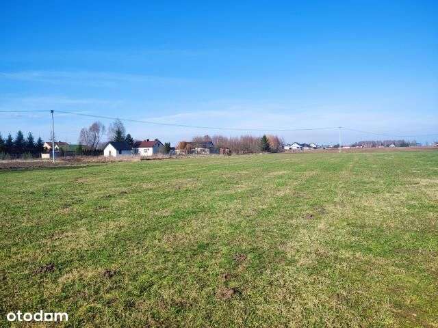 Cicha działka w kompleksie pod budowę Poczernin - Pełny obrazek: 4/5