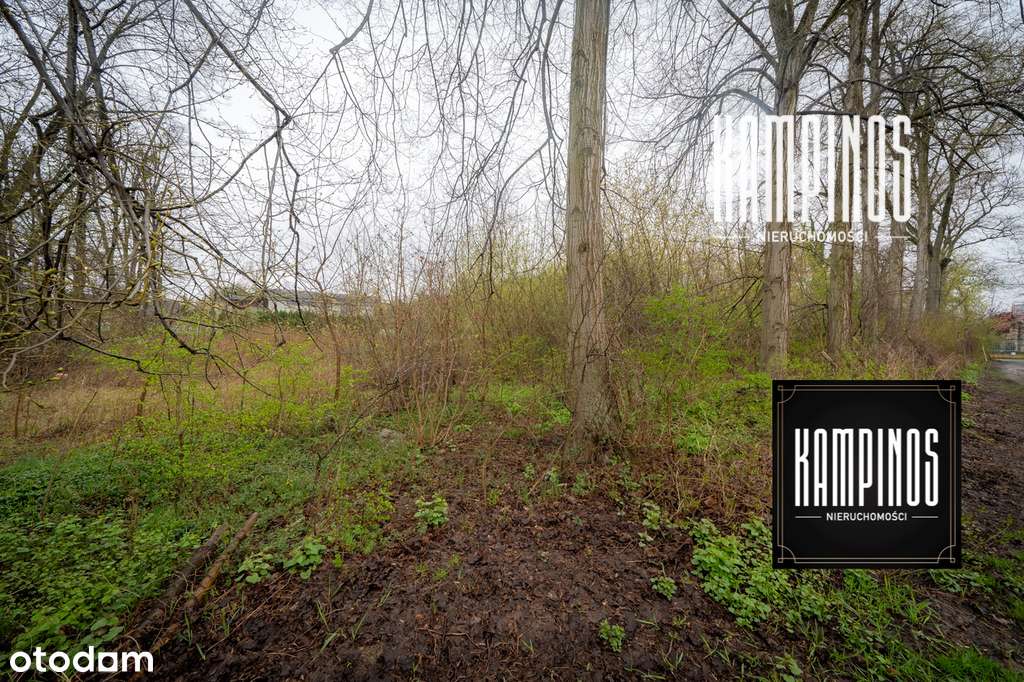 170/12317/OGS - Pełny obrazek: 4/6