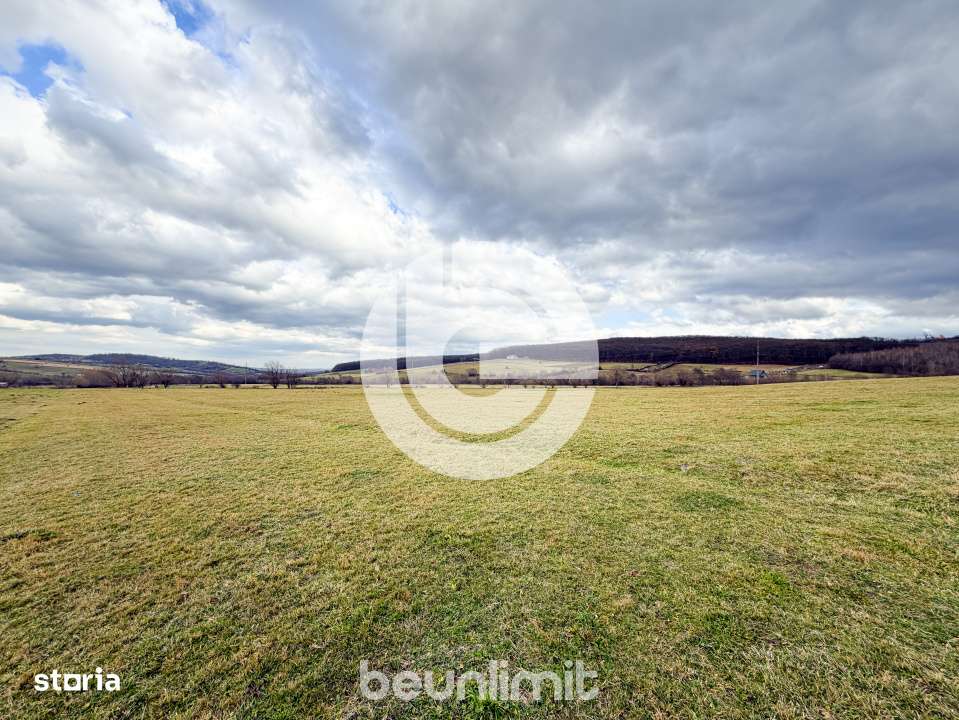 Teren intravilan in Tocile - 4354 m² - 2 fronturi - 49 euro/mp-15