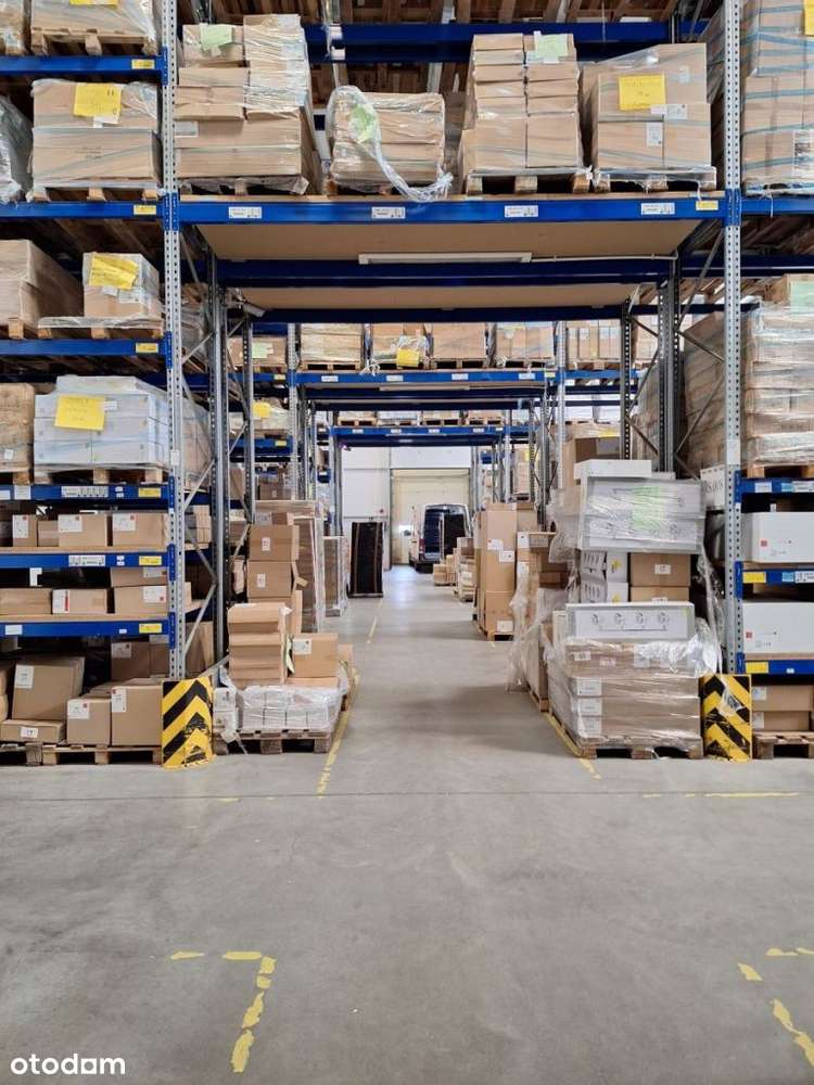 B.wysoki std - produkcja i usługi.-17