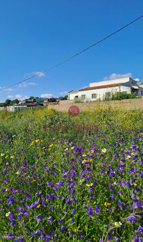 Terreno Rústico (urbanizável) em São João das Lampas - Grande imagem: 4/4