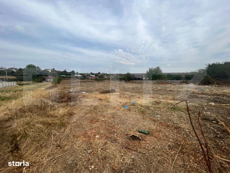 Teren 4046 mp in Racari cu deschidere de 28 ml la drumul european 70 - Imagine principală: 3/3