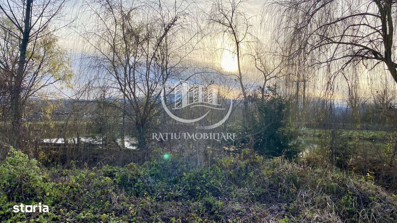 EXCLUSIV | TEREN INTRAVILAN | INVESTIȚIE | BEIUȘ – STR. PLOPILOR | 13. - Imagine principală: 2/8