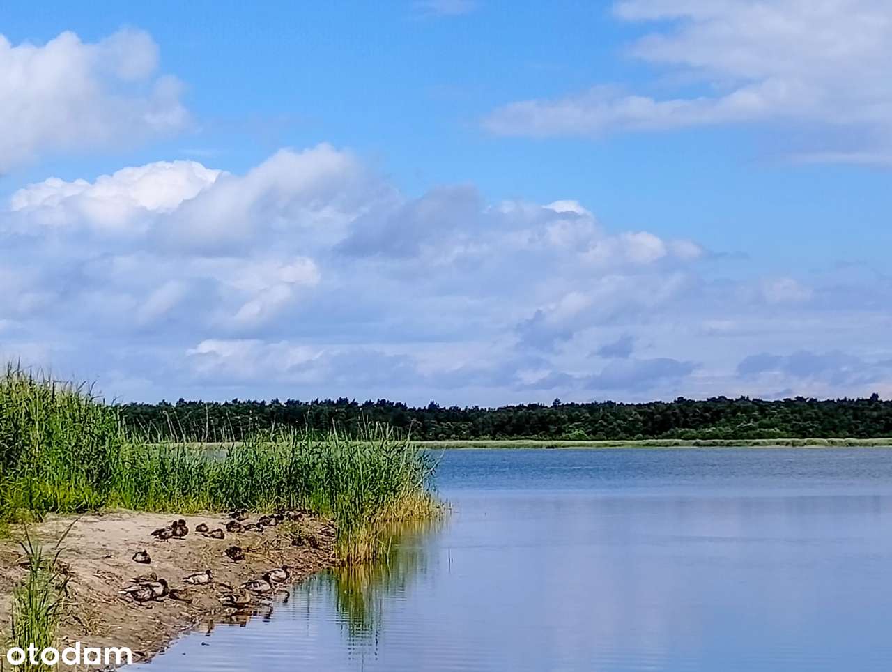 Działka budowlana na dom/pensjonat 2368m² | m. Żarnowska/ k. Łeby FV-6