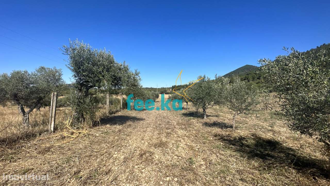 Quintinha em Monfortinho-23