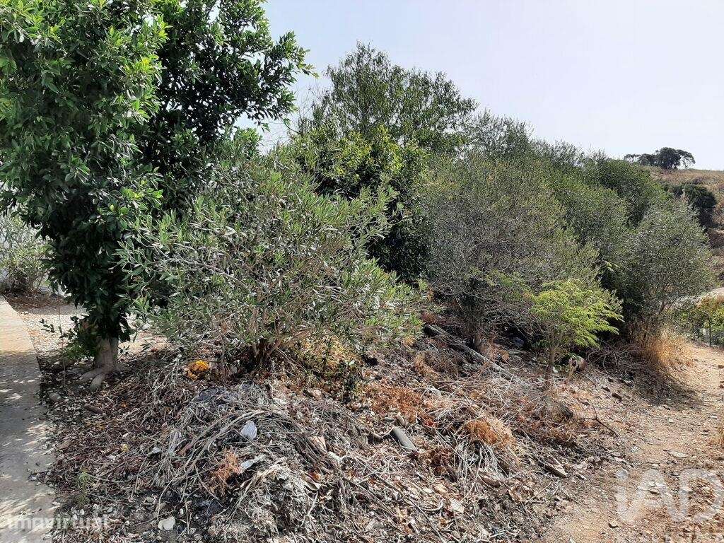 Casa / Villa em Conceição e Cabanas de Tavira de 108,00 m2 - Grande imagem: 5/6