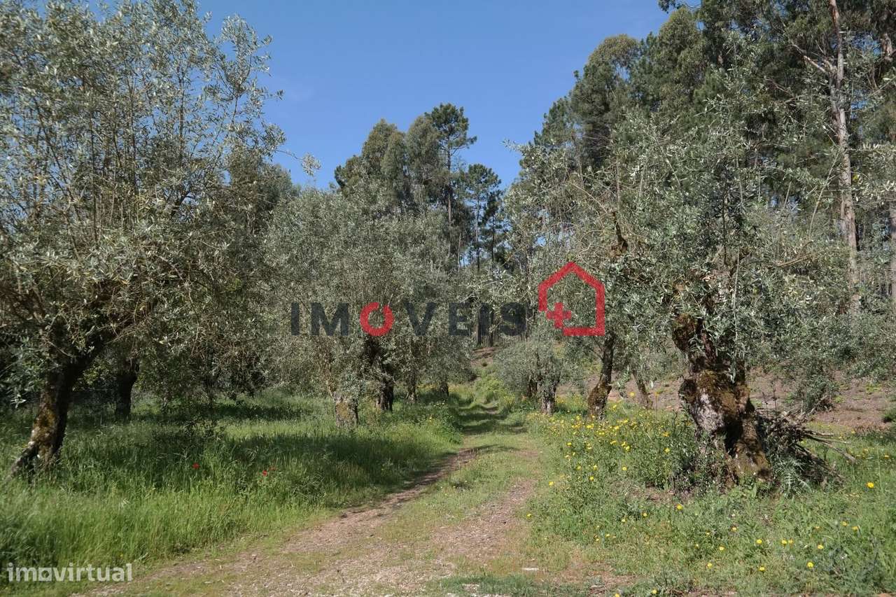 Terreno - Grande imagem: 3/3