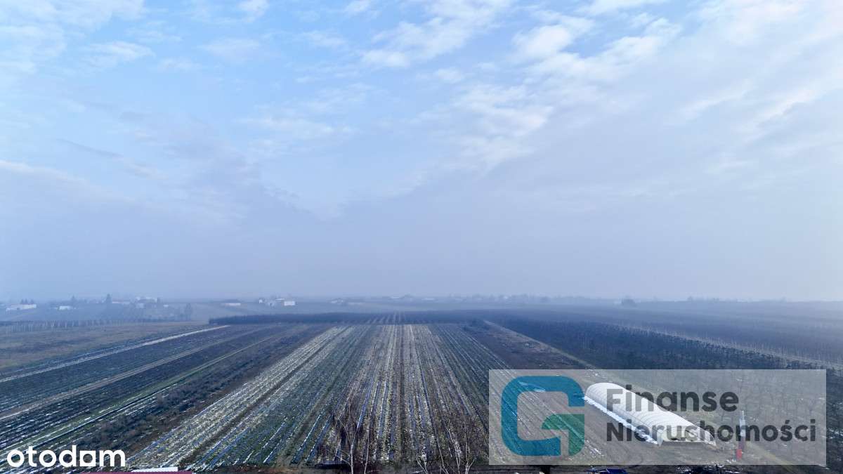 Cztery atrakcyjne działki w Białej Rawskiej - Pełny obrazek: 4/8