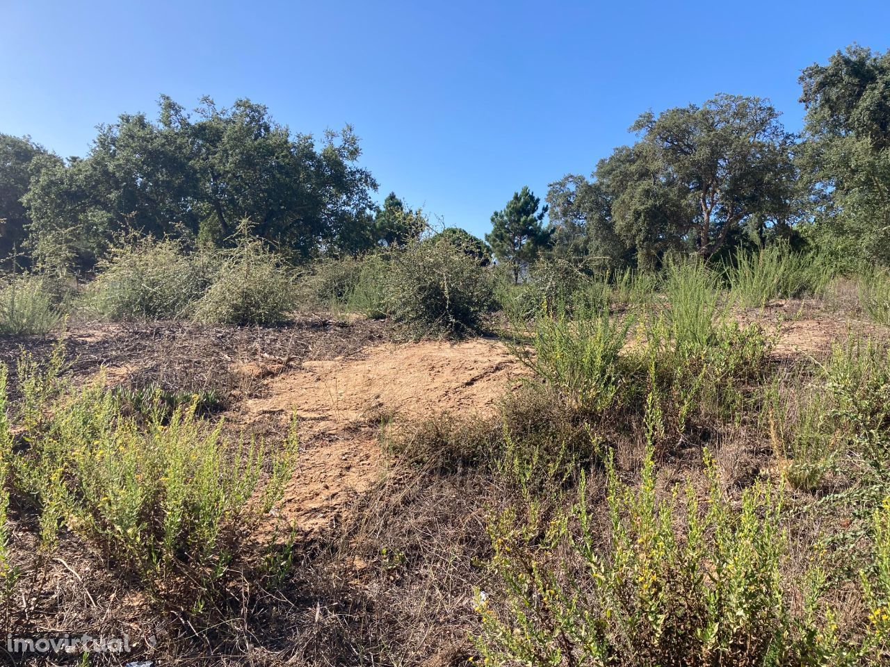 Lote de terreno de gaveto Charneca da Cotovia Sesimbra