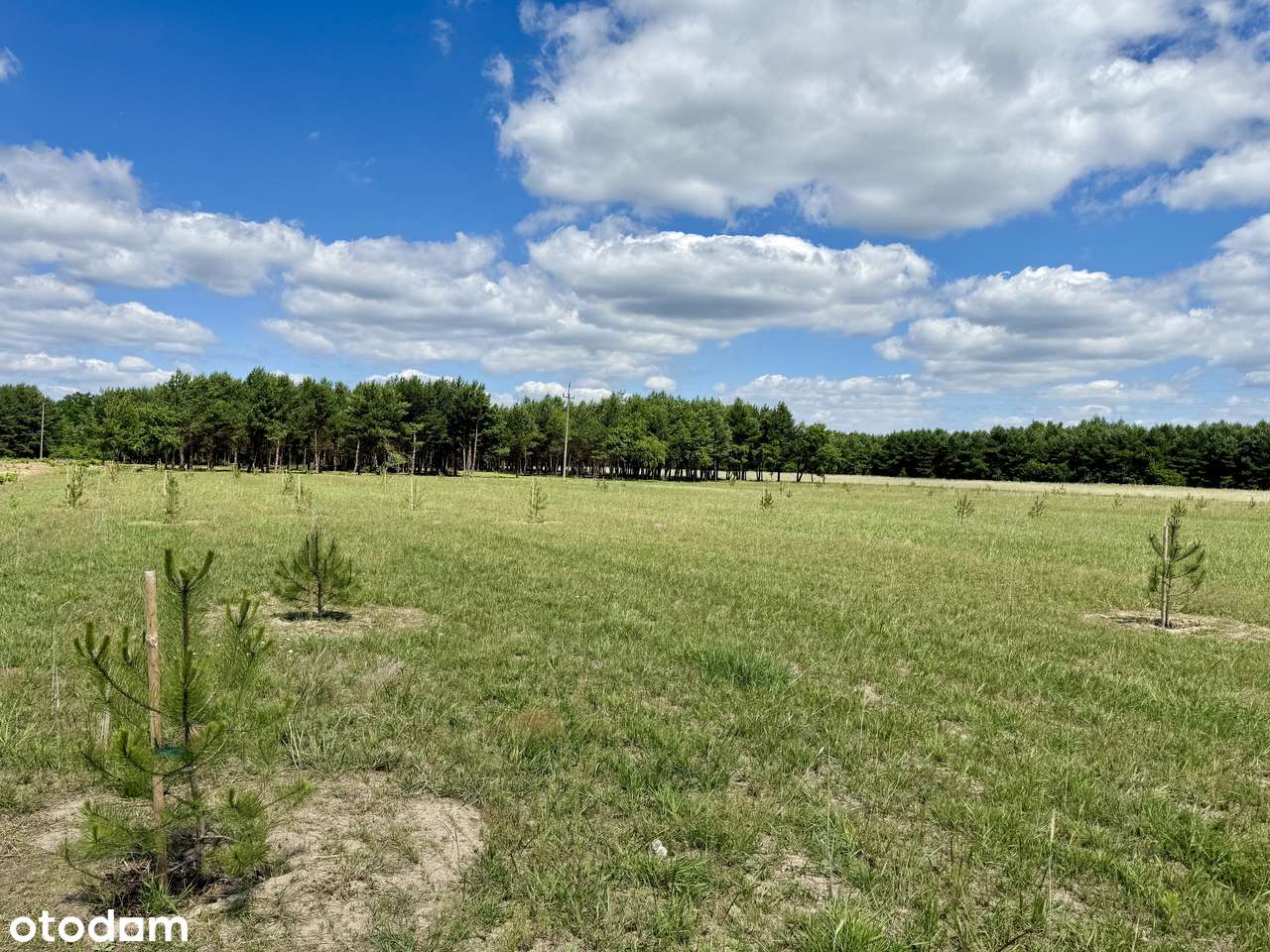 Działki budowlane, wodociąg, prąd, 1,5 km j. Lucieńskie-11