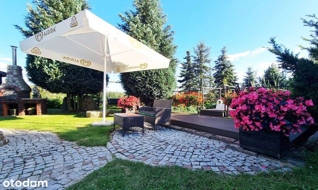 Dom całoroczny z dużą działką - 3 838 m2-6