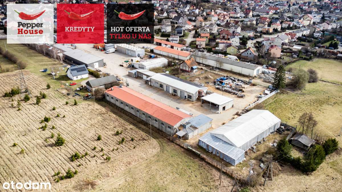 hala magazynowa z biurami na sprzedaż - Pełny obrazek: 3/17