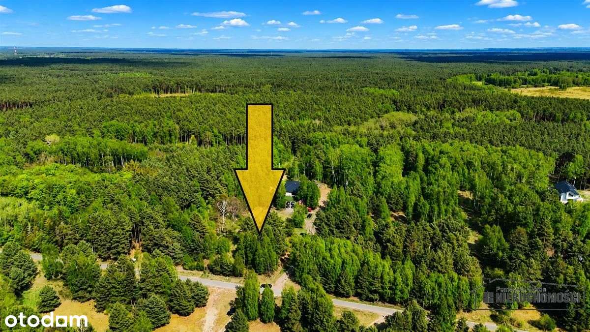 Cisza, las i jezioro – działka budowlana-6