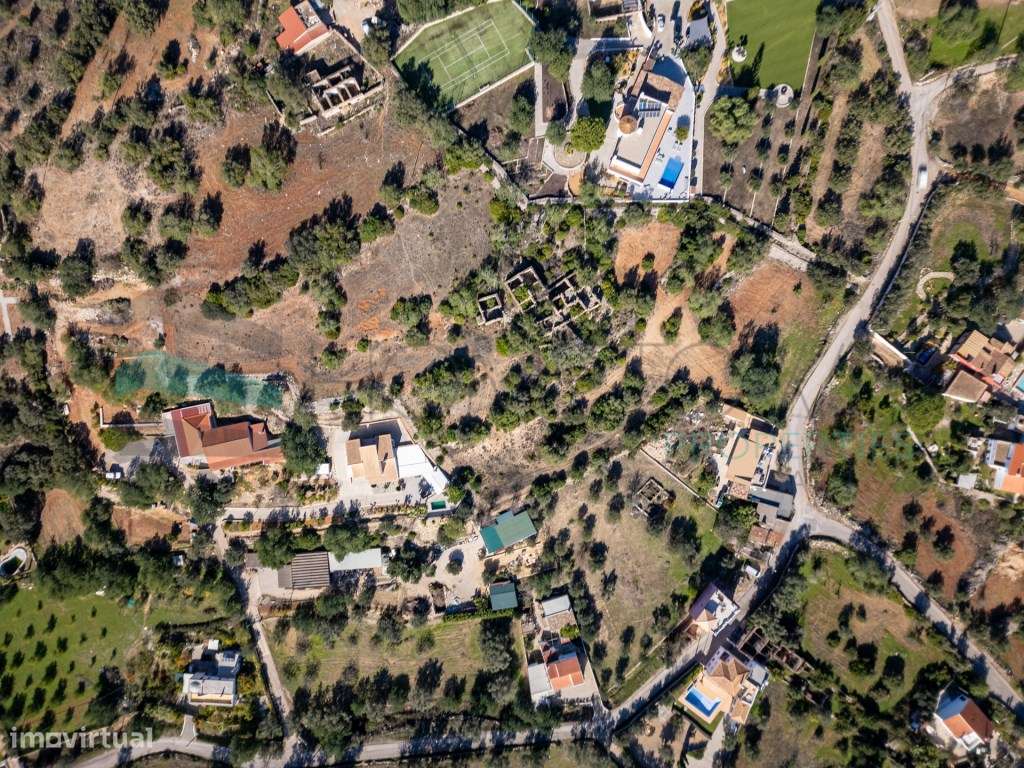 Terreno com ruína - Santa Barbara de Nexe - Grande imagem: 5/32