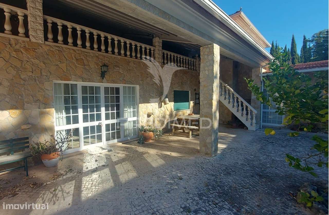 Quinta com Moradia T4, piscina, Terreno com 3 ha, Santarém. - Grande imagem: 5/35