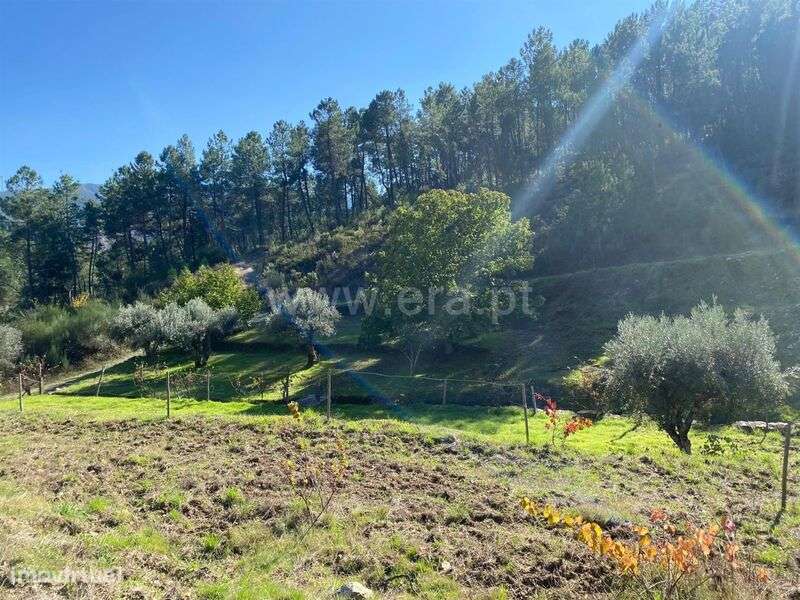 Quintinha / Fundão, Enxabarda - Grande imagem: 2/12