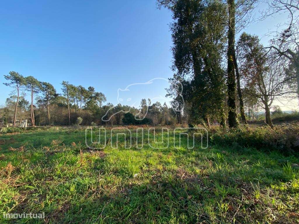 Terreno Vila Fria - Grande imagem: 2/8