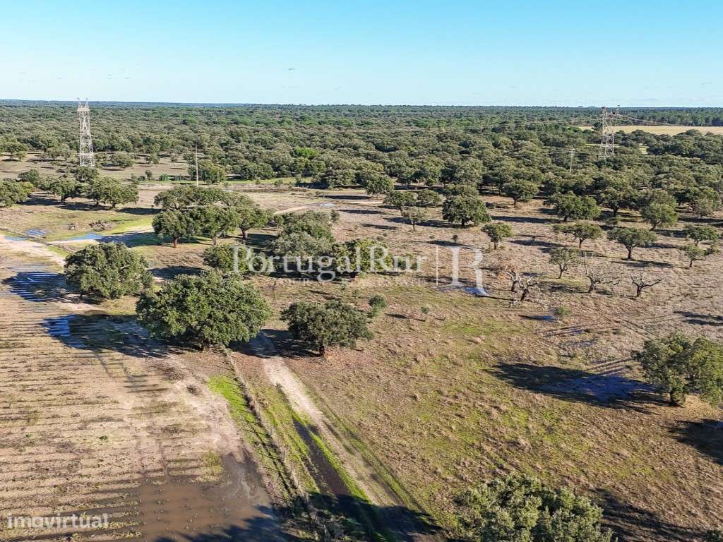 Herdade de 60 hectares para criação bovina e equina perto de Lisboa-8