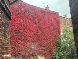 Nowe mieszkanie 2 pokoje, gotowiec inwestycyjny