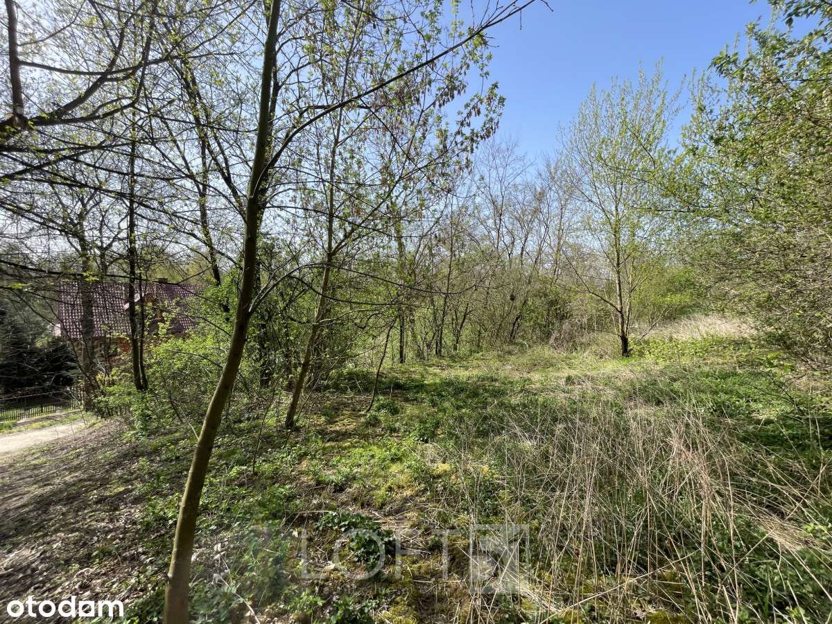 Działka nad Pilicą, Pacew-6