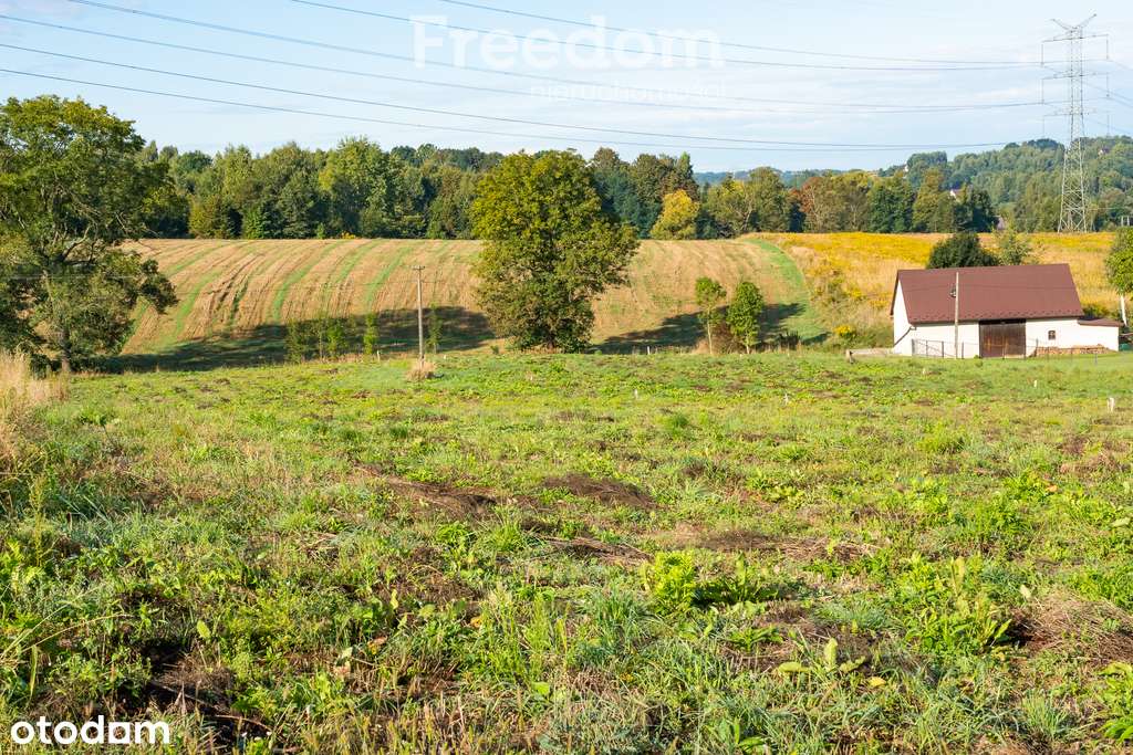 Działka rolno-budowlana w Brzeźnicy - Pełny obrazek: 5/19