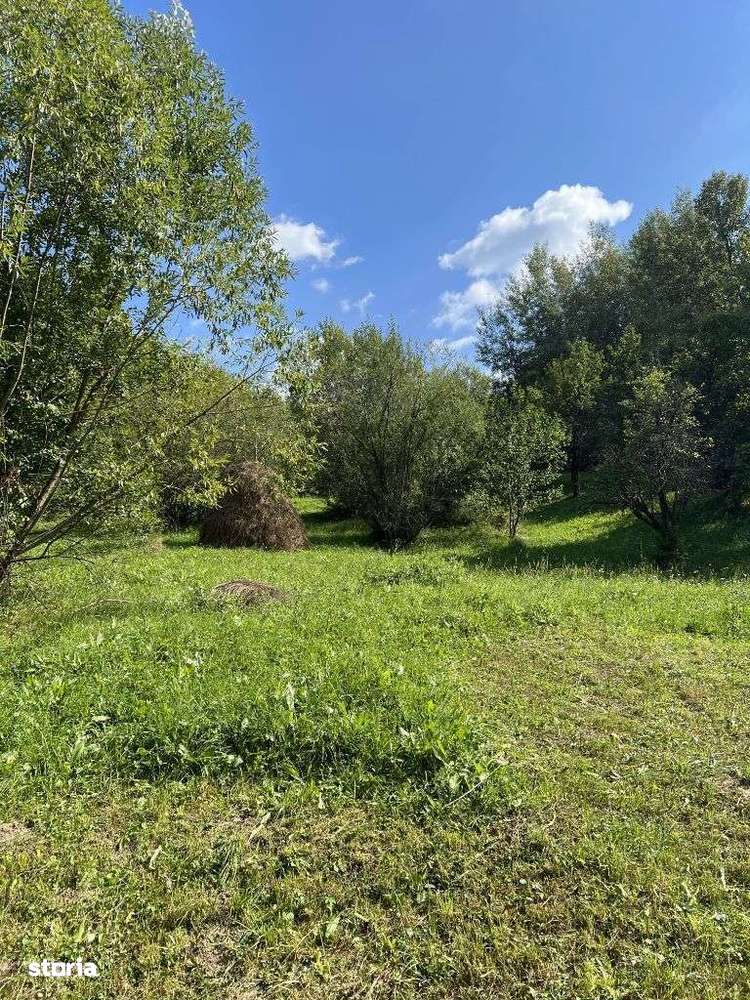 Vand teren intravilan - Breaza Valea Tarsei strada Tudosesti 4300 mp - Imagine principală: 5/20