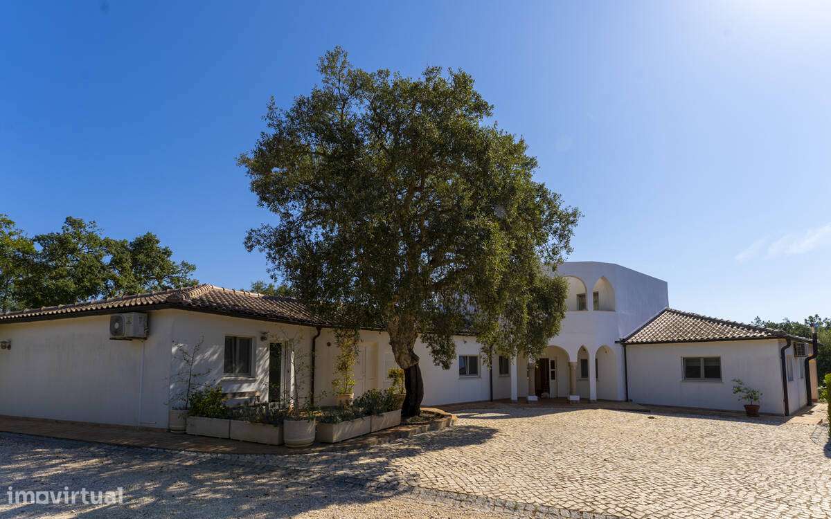 Fabulosa propriedade - Grande imagem: 4/20