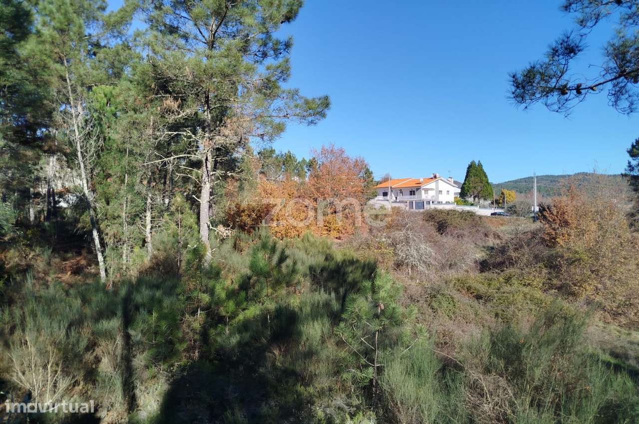 Terreno Único à Venda no Coração do Vale do Demo – Moimenta da Bei... - Grande imagem: 4/20