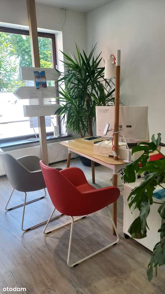 Stare Miasto / Parter / Witryna / - Pełny obrazek: 3/12