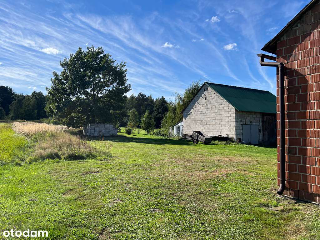 Murowany dom 100m2 | Działka 55 ar - Przewrotne-14