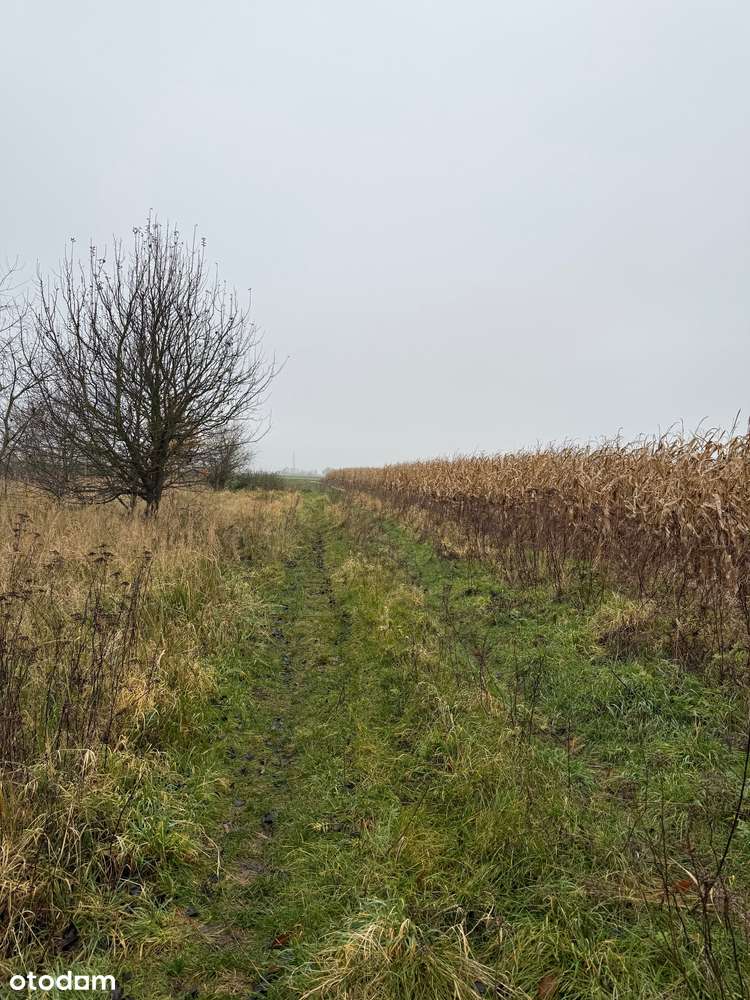 Grunt inwestycyjny, turystyka, sport i rekreacja, Batorowo-12